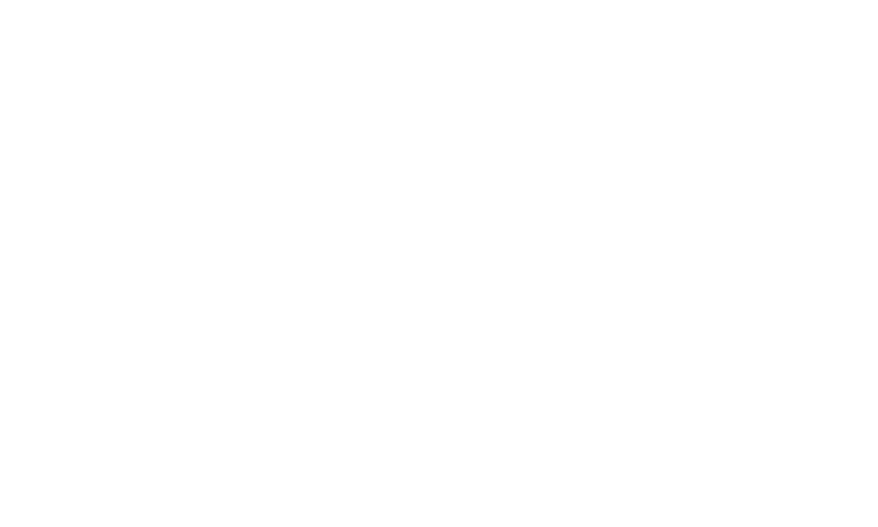 RICE CRAFT